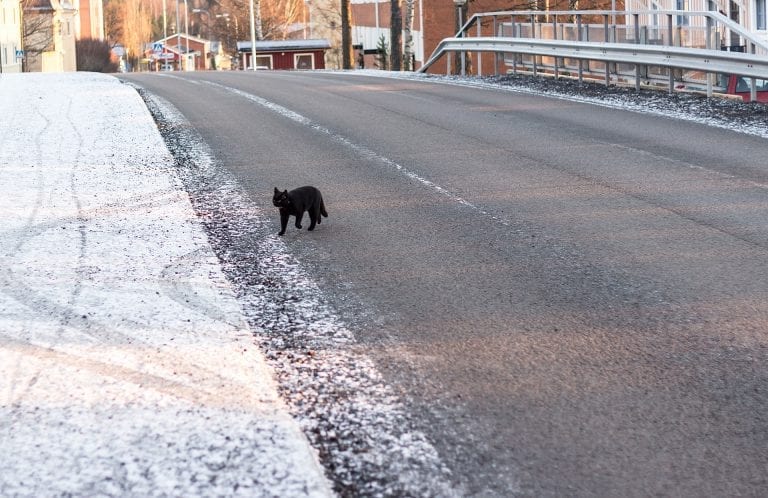 ULYKKE: Mange forbinder fredag 13. med ulykke. Foto: Tryg Forsikring