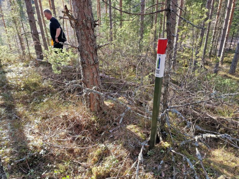 LOKKER MANGE UT: Takket være stolpejakten er det mange som får nye friluftsopplevelser både nært og fjernt. Her fra en stolpe plassert ved Antonsdammen på Flisa i vår.