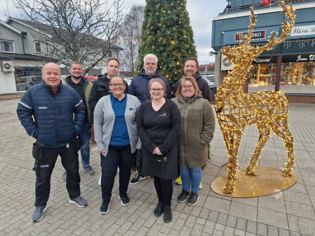 KLAR FOR JULEHANDEL: Næringslivet på Flisa er klar for julehandelen, og julegateåpningen skjer lørdag. Fra venstre Stian Lauten, Bent Erlend Ousz Holm, Anders Dybendal, Linda Kvernmo, Johnny Enger, Ida Correia, Siw Monica Holth og Jonas Gottenborg Larsen. Sistnevnte er styreleder i Handelssenteret Flisa.